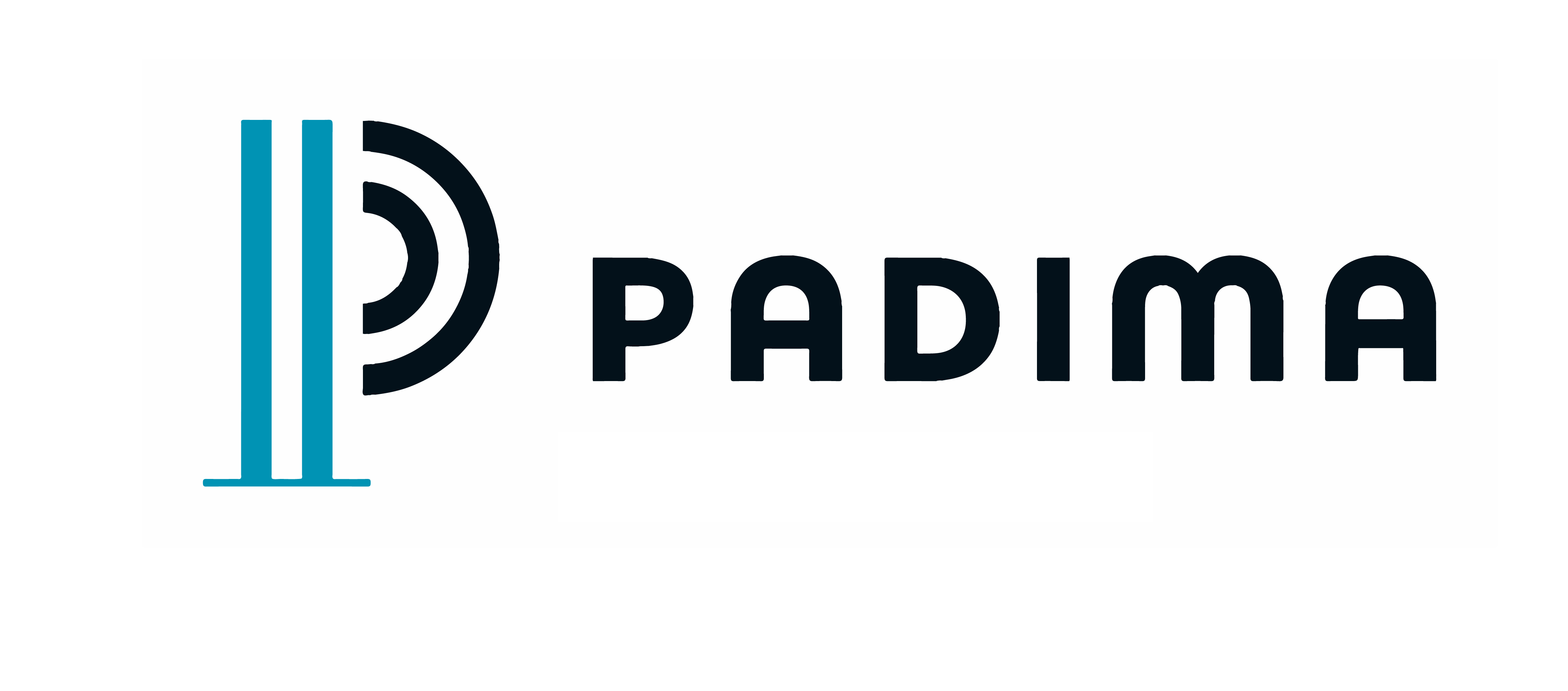 Padima V Logo Horizontal RGB Sin IP 01